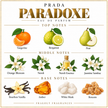 Prada - Paradoxe