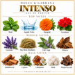 Dolce & Gabbana – Intenso
