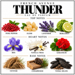French Avenue ~ Thunder (Inspired by Penhaligon's The Omniscient, Mr Thompson)